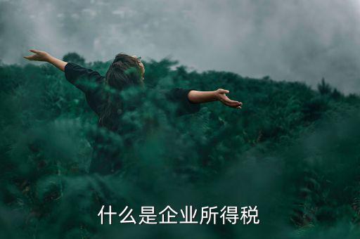 什么是企業(yè)所得稅率，什么是企業(yè)所得稅