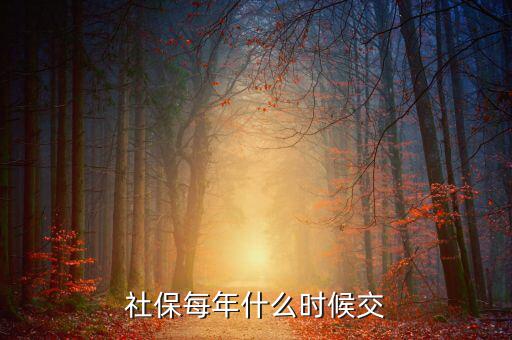 社保費每年什么時候交，社保每年什么時候交