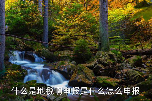 深圳地稅崗里申報(bào)個人所得稅時提示個人所得稅推廣用戶不能在