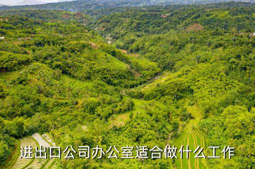會(huì)做進(jìn)出口公司審批備案的找什么工作，進(jìn)出口企業(yè)備案怎么弄找哪個(gè)部門(mén)