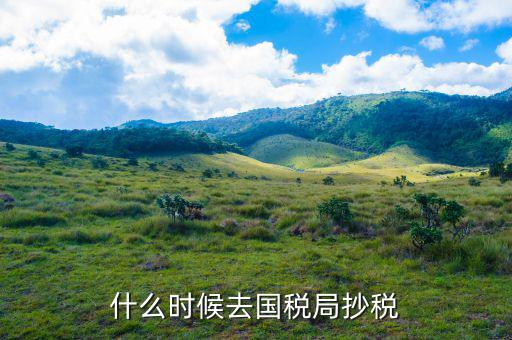 什么時(shí)候抄稅報(bào)稅，什么時(shí)候去國(guó)稅局抄稅