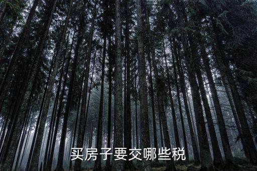 買(mǎi)稅需要什么手續(xù)費(fèi)，購(gòu)買(mǎi)車(chē)輛購(gòu)置稅需要哪些手續(xù)