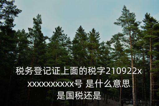 稅號91和92什么區(qū)別，納稅人識別號與稅號有區(qū)別嗎