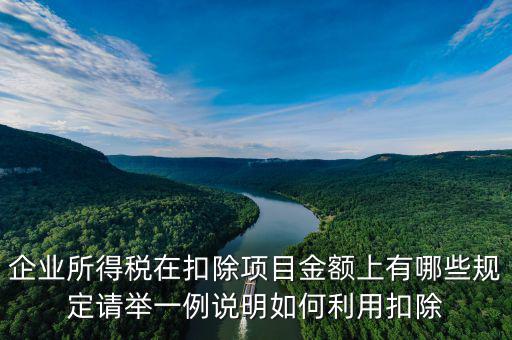 扣除項(xiàng)目金額是什么，應(yīng)稅服務(wù)扣除項(xiàng)目清單中允許扣除項(xiàng)目金額指的是什么是總
