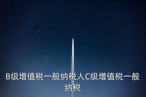 納稅用戶c級企業(yè)是什么意思，B級增值稅一般納稅人C級增值稅一般納稅