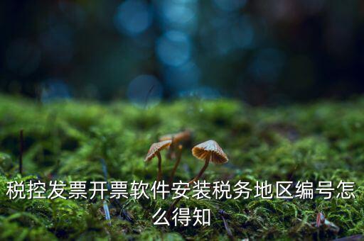 發(fā)票地區(qū)編號(hào)填什么，稅控發(fā)票開(kāi)票軟件安裝稅務(wù)地區(qū)編號(hào)怎么得知