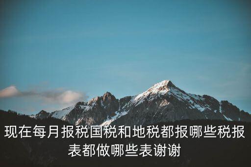 國稅報什么，現(xiàn)在每月報稅國稅和地稅都報哪些稅報表都做哪些表謝謝