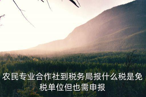 合作社應(yīng)報(bào)什么稅，農(nóng)民專業(yè)合作社是怎樣報(bào)稅的是企業(yè)還是個(gè)體戶