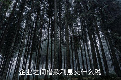 公司借款涉及到什么稅，借款要交什么稅