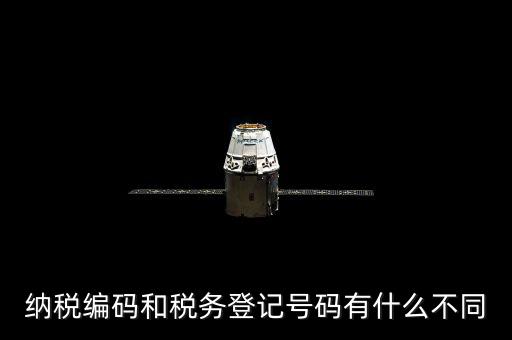 個(gè)人納稅編號(hào)是什么意思，納稅編碼和稅務(wù)登記號(hào)碼有什么不同