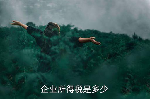 生產(chǎn)企業(yè)稅收標(biāo)準(zhǔn)是什么，企業(yè)所得稅是多少