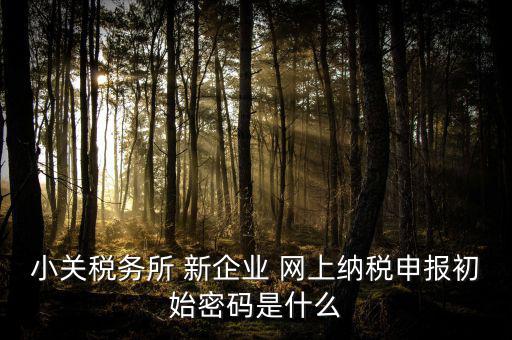 深圳國(guó)稅微信預(yù)約密碼是什么意思，小關(guān)稅務(wù)所 新企業(yè) 網(wǎng)上納稅申報(bào)初始密碼是什么