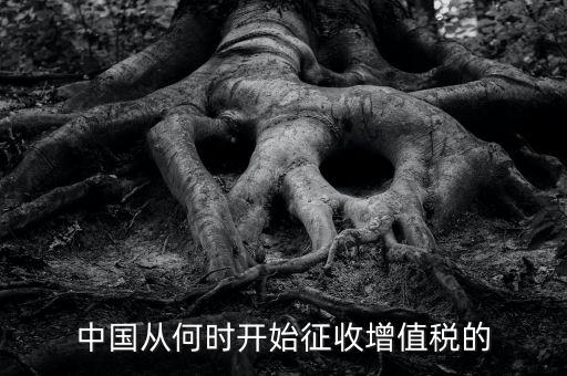 什么時(shí)候征收增值稅，批發(fā)零售業(yè)增值稅征收率什么時(shí)間開始為3