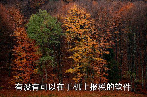 手機辦稅是什么，賣手機怎樣納稅