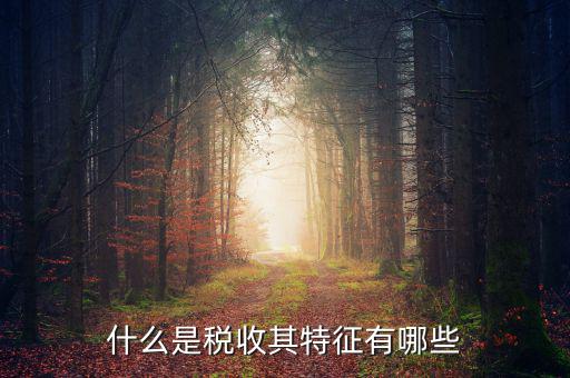 稅收的特點(diǎn)是什么意思，稅收的實(shí)質(zhì)和特征