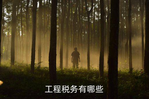 稅務(wù)三代項目是什么，通常說的三稅是指什么啊