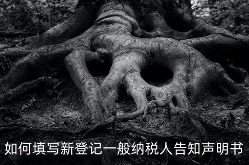 納稅人聲明是什么意思，一般納稅人申報表主表的申明人必須輸入是什么意思