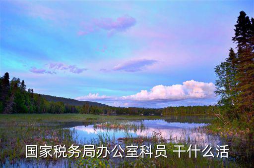 國稅行政辦公室干什么，國稅局辦公室怎么樣