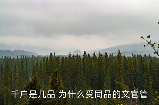 什么千戶(hù)集團(tuán)，千戶(hù)是什么意思