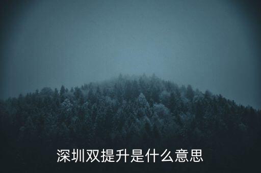 兩手抓兩提升是什么意思，中央提出的兩手抓是什么