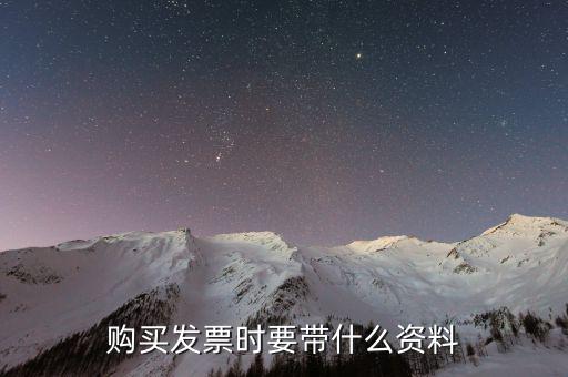 購發(fā)票 帶什么資料，購買增值稅普通發(fā)票需要帶什么資料