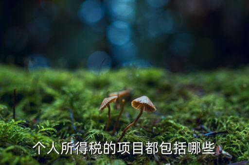 所得項(xiàng)目填什么，個(gè)人所得稅必須要填寫六項(xiàng)嗎我沒一項(xiàng)符合