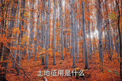 什么是土地報征，什么是征集土地