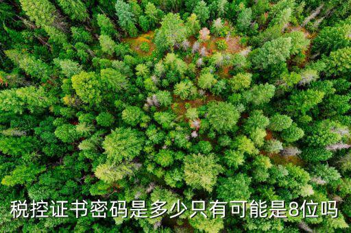 修改稅務(wù)數(shù)字證書密碼是什么，稅務(wù)數(shù)字證書密碼忘記或鎖定如何解決