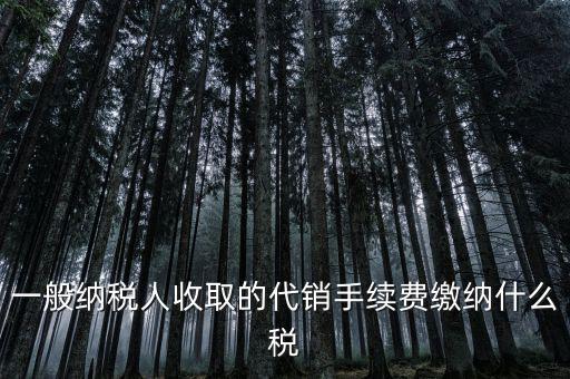代理服務(wù)費(fèi)交什么稅，一般納稅人收取的代銷手續(xù)費(fèi)繳納什么稅
