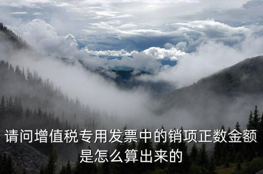 銷項正數(shù)金額是什么意思，銷項正數(shù)金額銷項負(fù)廢金額銷項負(fù)數(shù)金額是什么意