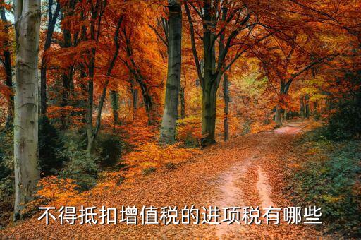 什么是無法劃分的全部進(jìn)項(xiàng)稅額，會(huì)計(jì)的免稅項(xiàng)目