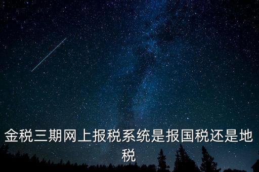 用金稅三期軟件報什么稅，金稅三期網(wǎng)上報稅系統(tǒng)是報國稅還是地稅