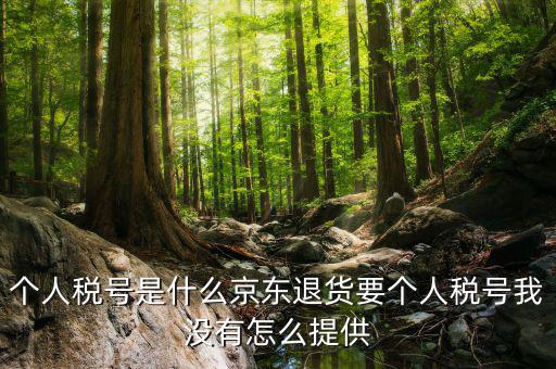 中心稅號(hào)是什么，稅號(hào)是15位還是8位的