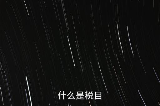 什么是稅法 文化，中華人民共和國地稅法