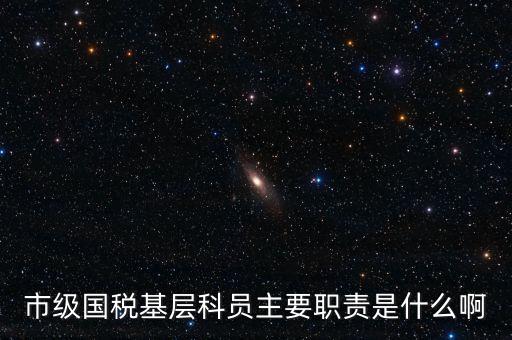 基層國稅辦公室做什么，請問國稅局基層分局科員縣域主要負責什么工作