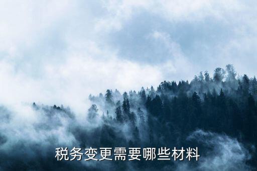 變更辦稅員要帶什么，財(cái)務(wù)負(fù)責(zé)人和辦稅員的變更需要辦理哪些手續(xù)