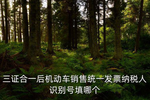 統(tǒng)一納稅識(shí)別號(hào)是什么，三證合一后機(jī)動(dòng)車銷售統(tǒng)一發(fā)票納稅人識(shí)別號(hào)填哪個(gè)