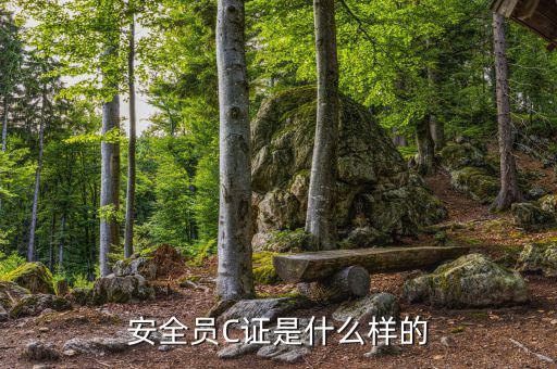 數(shù)字人事是什么樣的，數(shù)字人事是什么