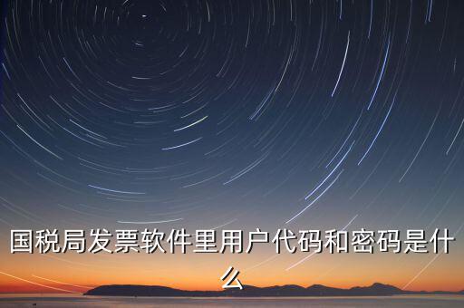 發(fā)票代碼 號(hào)碼 密碼是什么樣的，國(guó)稅局發(fā)票軟件里用戶代碼和密碼是什么
