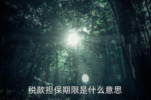 納稅擔保人什么意思，稅款擔保期限是什么意思