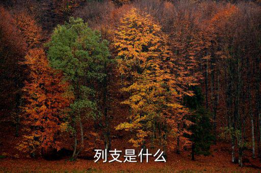 賠付支出能列支什么意思，列支是什么意思
