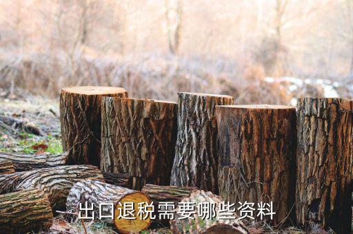 外貿(mào)退稅需要什么資料，出口退稅需要哪些資料