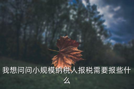 小規(guī)模國稅申報(bào)些什么，小規(guī)模納稅人國稅需要報(bào)什么資料
