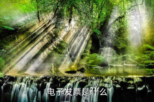 電子發(fā)票單位是什么樣的，什么叫電子發(fā)票