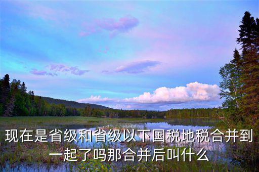 地稅改革后做什么，現(xiàn)在是省級和省級以下國稅地稅合并到一起了嗎那合并后叫什么
