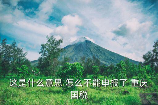 重慶稅務網站是什么意思，這是什么意思 怎么不能申報了 重慶國稅