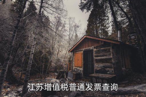 江蘇國(guó)稅網(wǎng)站運(yùn)行的環(huán)境是什么，江蘇國(guó)稅徐州網(wǎng)站怎么上不去