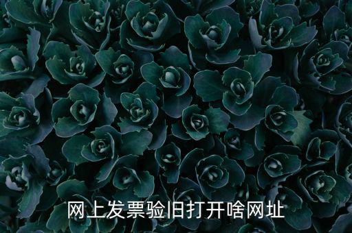 山東省網(wǎng)絡(luò)開(kāi)票網(wǎng)址是什么，網(wǎng)上發(fā)票驗(yàn)舊打開(kāi)啥網(wǎng)址