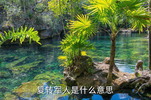 國(guó)稅局復(fù)轉(zhuǎn)軍人是什么身份，事業(yè)單位的退伍軍人屬什么身份