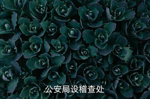 稽查處是什么部門，公安局設(shè)稽查處